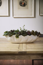 Load image into Gallery viewer, Coastline Through