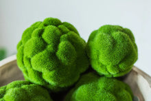 Load image into Gallery viewer, Napa Home and Garden Moss Green
