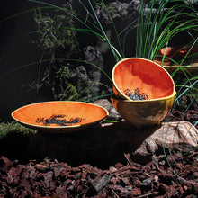 Load image into Gallery viewer, Tropical Fruit Papaya Dessert Plate S/4
