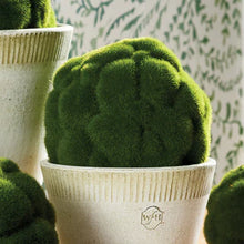 Load image into Gallery viewer, Napa Home and Garden Moss Green
