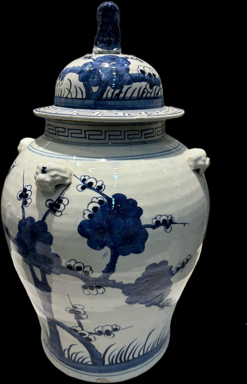 Vintage Temple Jar Plum Blossom w/ Foo Dog (Pre-Order)