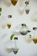 Load image into Gallery viewer, Envision Wall Mount Vase
