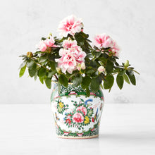 Load image into Gallery viewer, Famille Rose Extra Small Planter
